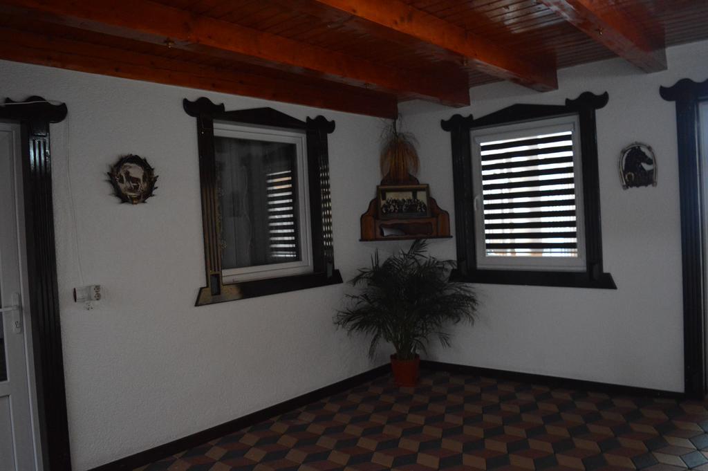 Hotel Vila Adr Sebeş Exteriér fotografie